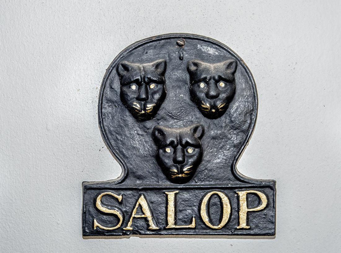 Salop House Βίλα Fish Hoek Εξωτερικό φωτογραφία